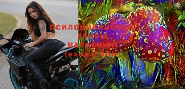 ешки Алзамай